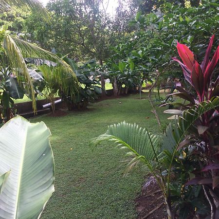 יקו Hotel Sandpiper מראה חיצוני תמונה
